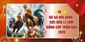 Đá Gà Nòi AO88 - Sức Bền Lì Lợm, Đẳng Cấp Trận Đấu 2026