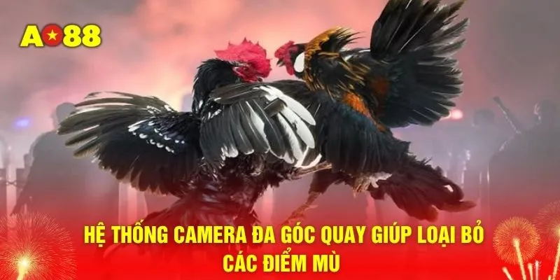 Hệ thống camera đa góc quay giúp loại bỏ các điểm mù